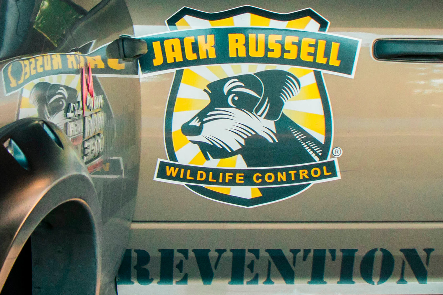 A Jack Russell Wildlife Control vehichle is seen parked Friday morning in Centralia.