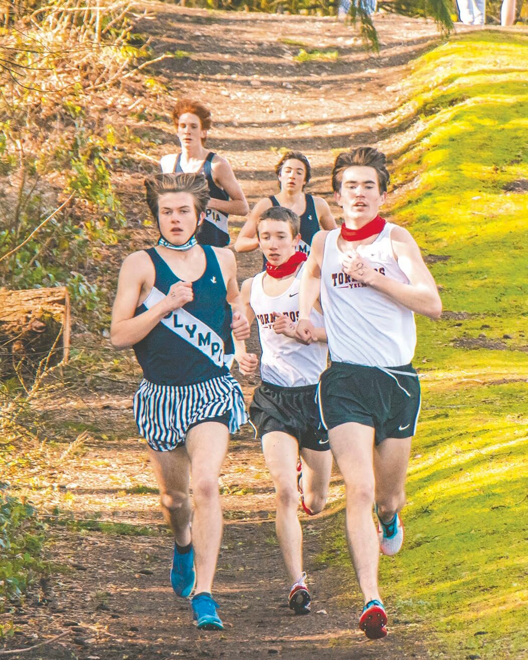 Runners from Olympia and Yelm make their way down a hill during a cross-country meet at LBA Park in Olympia on Saturday.