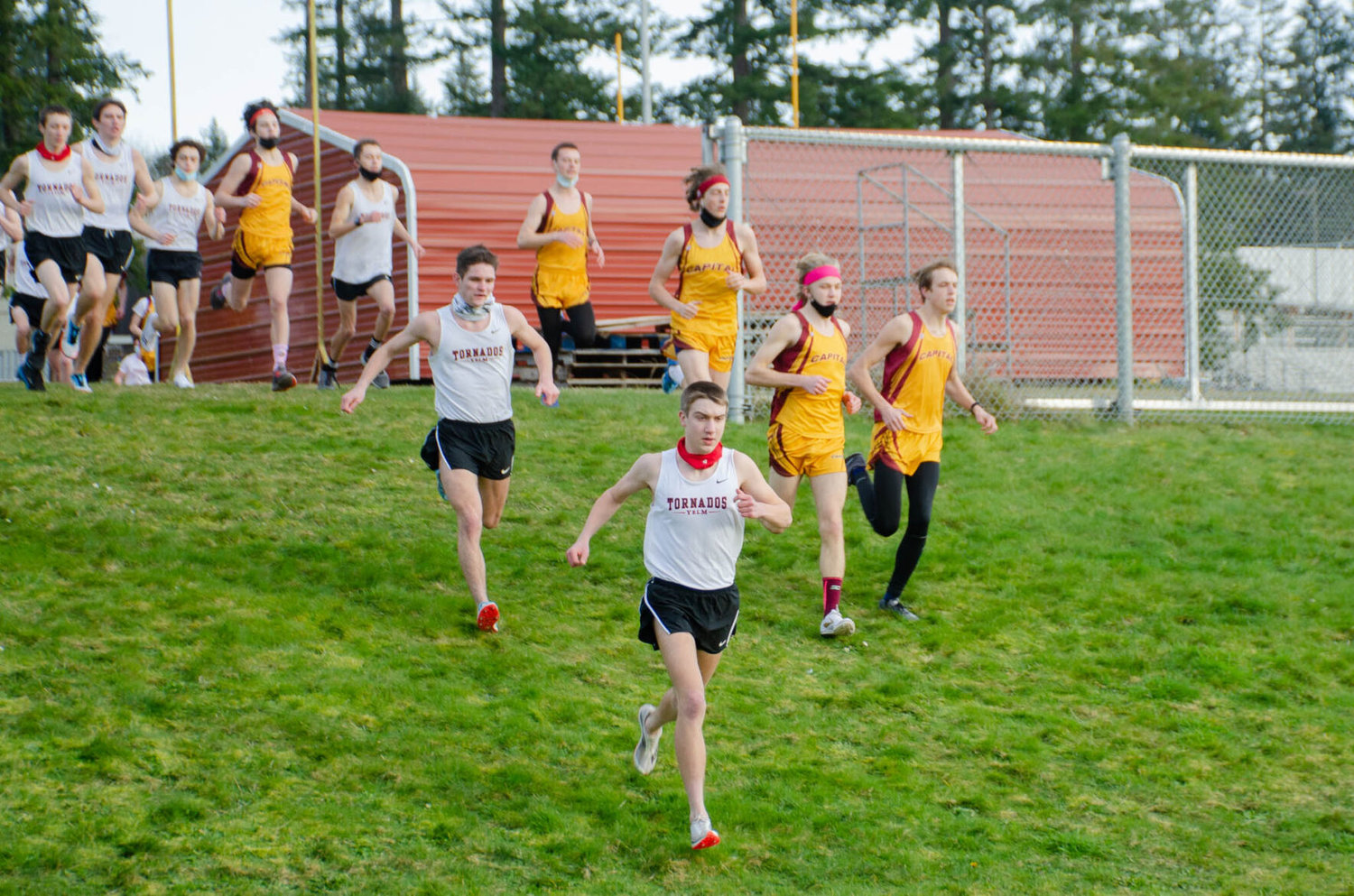 The Yelm Tornados and Capital Cougars rush off following the start of a 2.1-mile  meet on Wednesday afternoon. Athletes were required to wear face coverings before and after the race, per recent WIAA regulation, though were allowed to take them off for the majority of the race. 