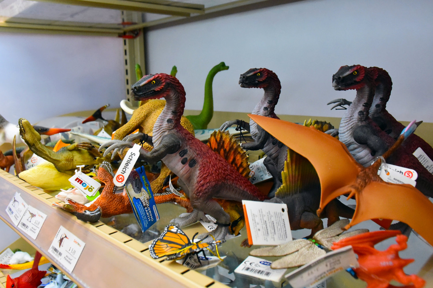 Dinosaurs sit ready to be sold at Funtime Toys and Gifts in Yelm.