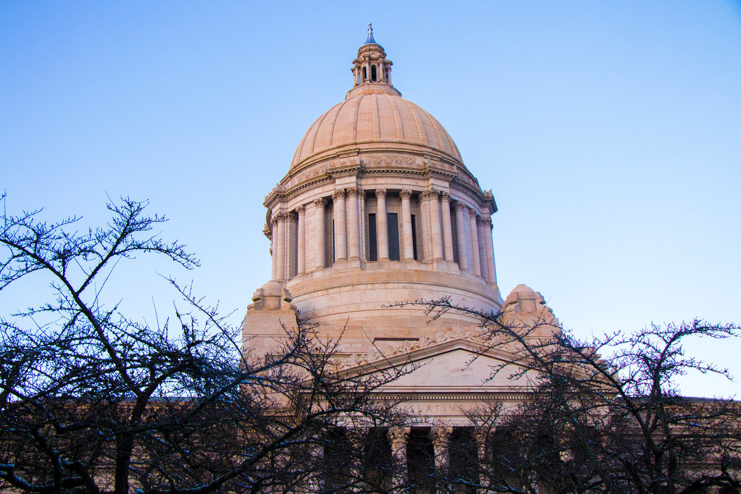The Washington State Capitol Building is pictured.
