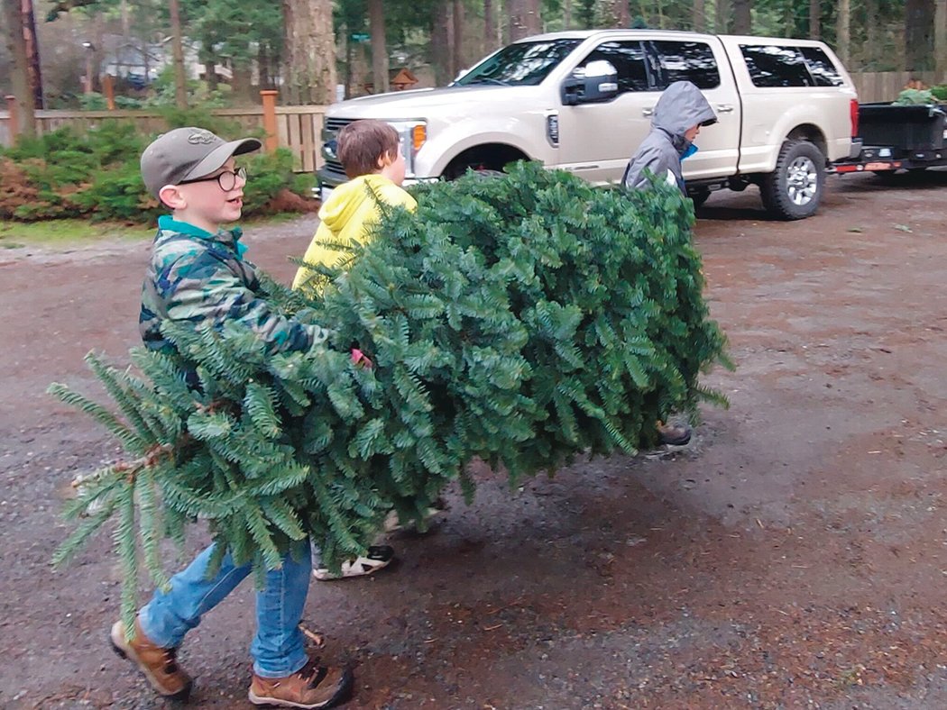Boy Scouts from local troop 603 unload a Christmas tree as part of their tree recycling fundraiser on Saturday, Jan. 8.