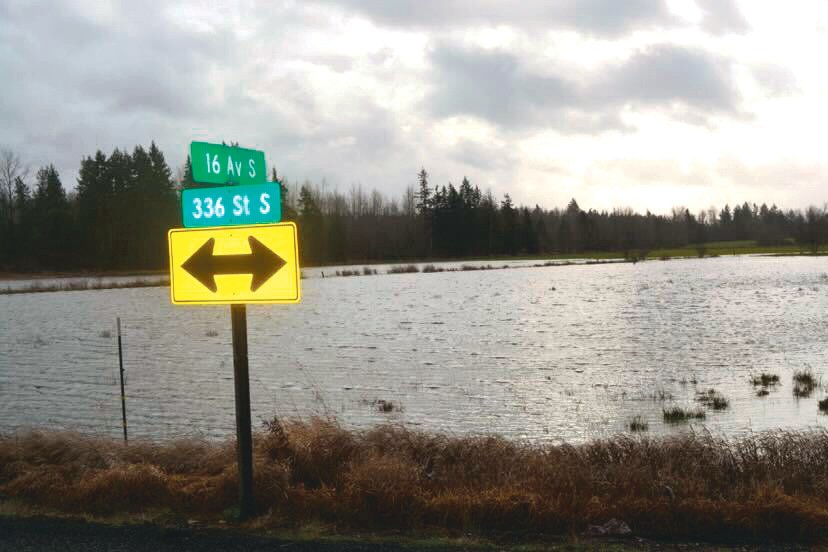 A field near 336th Street and 16th Avenue in Roy was flooded on Friday, Jan. 7.