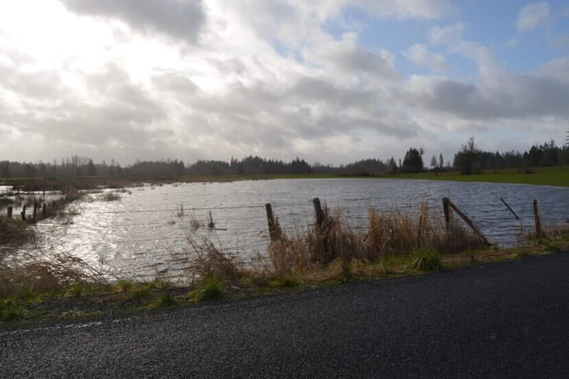 Rain in the Nisqually Valley caused minor flooding on Jan. 6 and Jan. 7