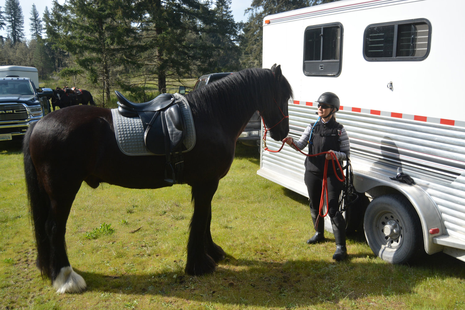 Sonya Schleich prepares her Gypsian horse Izar for the trail.