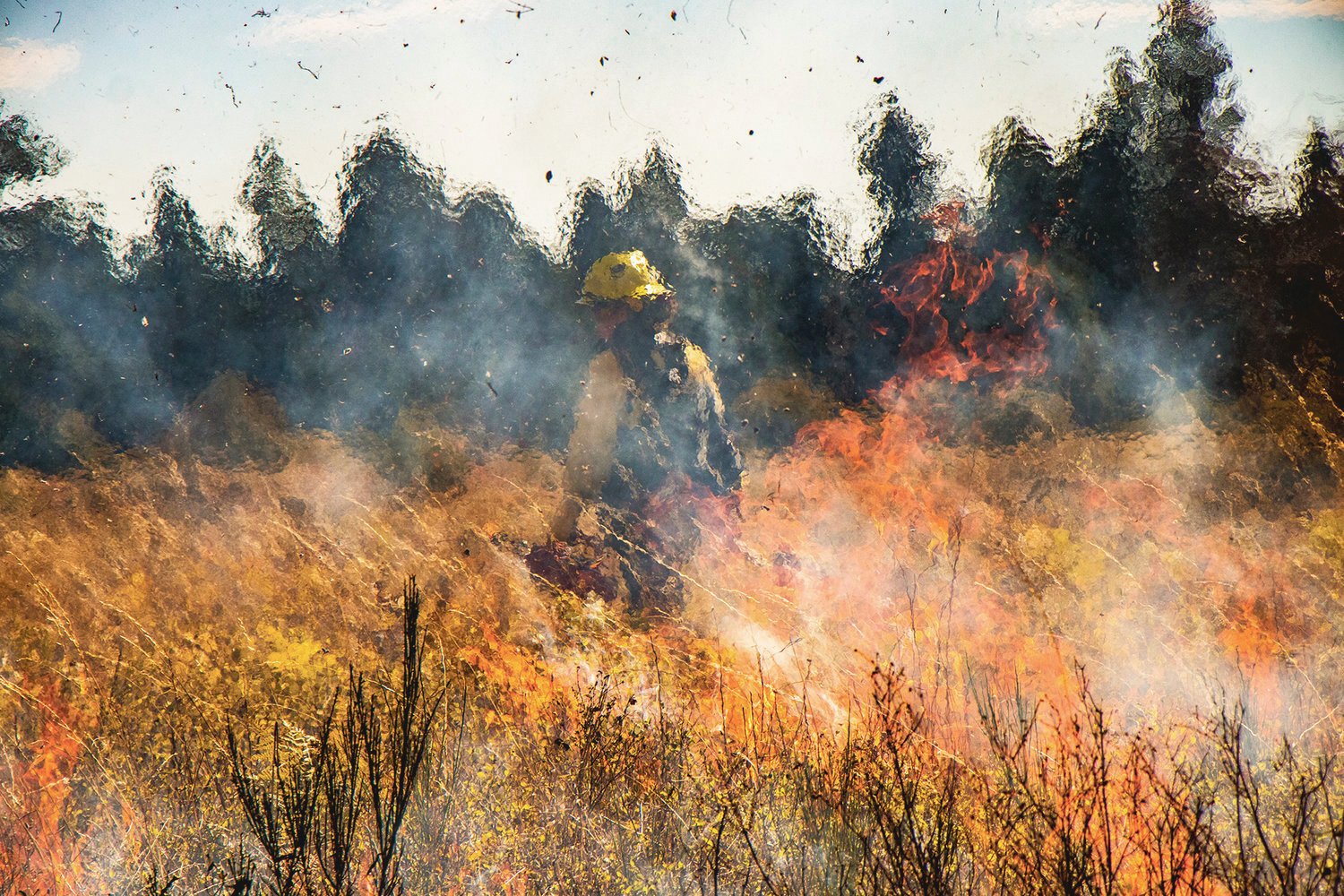 A Department of Natural Resource crew member walks behind flames during an ecological burn prescribed by the Center for Natural Lands Management, Thursday morning in the Scatter Creek Wildlife Area near Grand Mound.