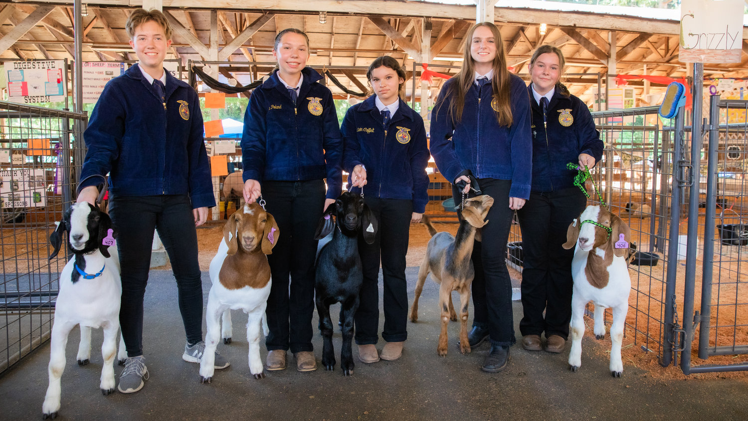 From left, Yelm FFA Members Fiona Fisher, Kyla Poland, Maile Poland, Aurora Cooper, Kai Ann Lewis and Anna Mills pose for a photo with goats Angus, Soos, Waddles, Grizzly and Rico at the Thurston County Fair on Thursday, July 28.