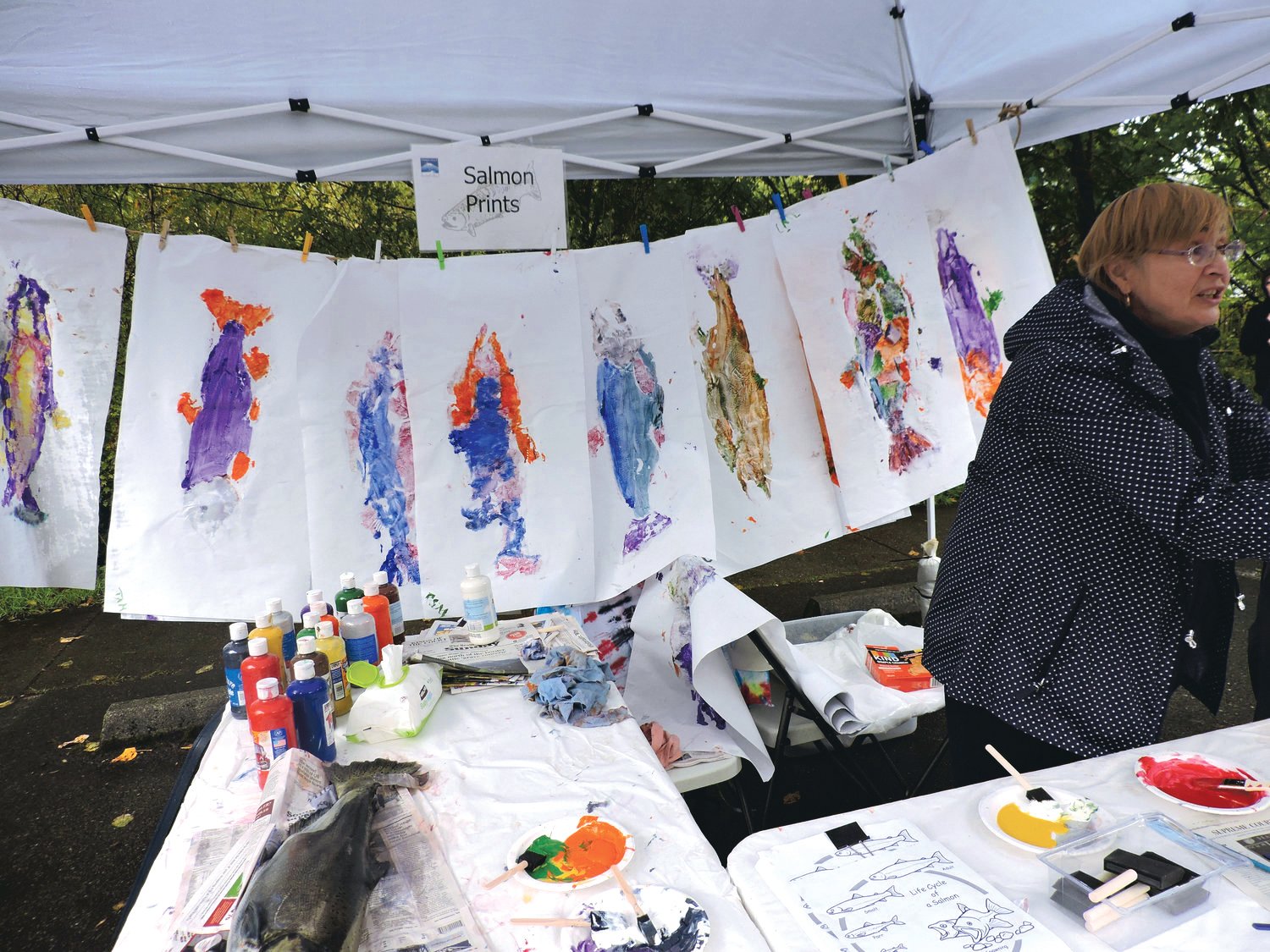 Prints from painted dead salmon dry at the Nisqually Watershed Festival in 2019 in this file photo.