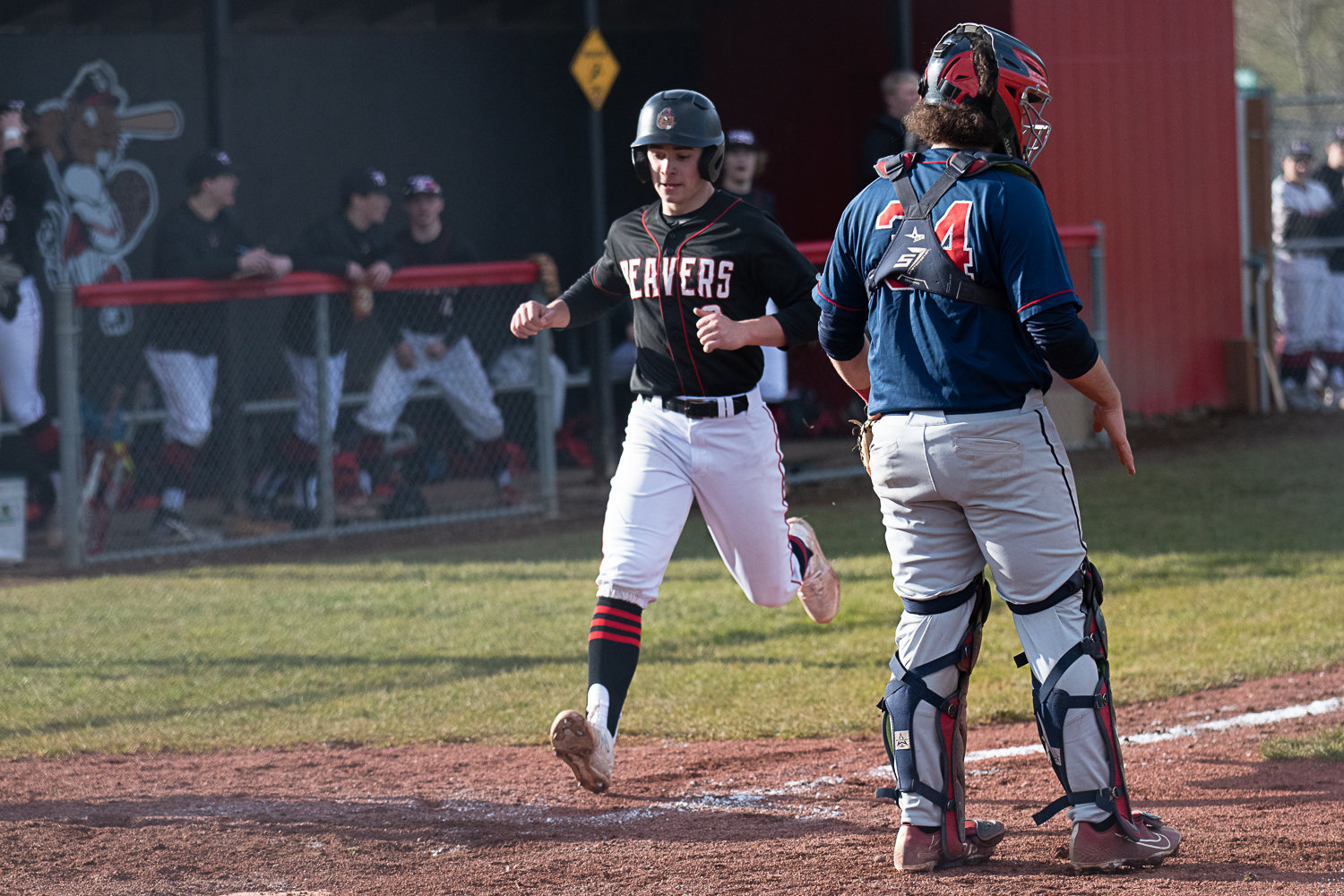 Easton Snider crosses home plate during a four-run bottom of the sixth for Tenino in the Beavers' 7-4 win over Black Hills on March 14.