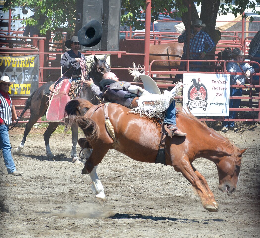 A cowboy holds on while his bronc bucks at the Roy Pioneer Rodeo on Sunday, June 4.
