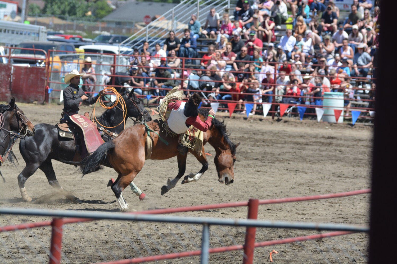 A cowboy attempts to straighten himself on the saddle as spectators watch on during the Roy Pioneer Rodeo on Sunday, June 4.