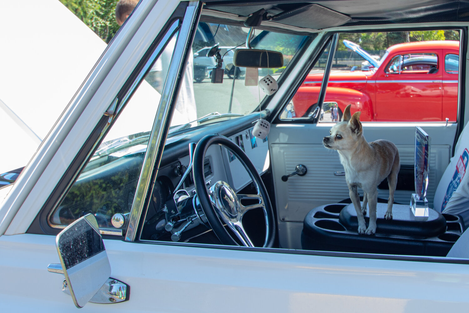 Jay Gregory's "guard" dog Goonie stands on the center console in the cab of Gregory's 1970 Chevrolet C/10 panel truck.