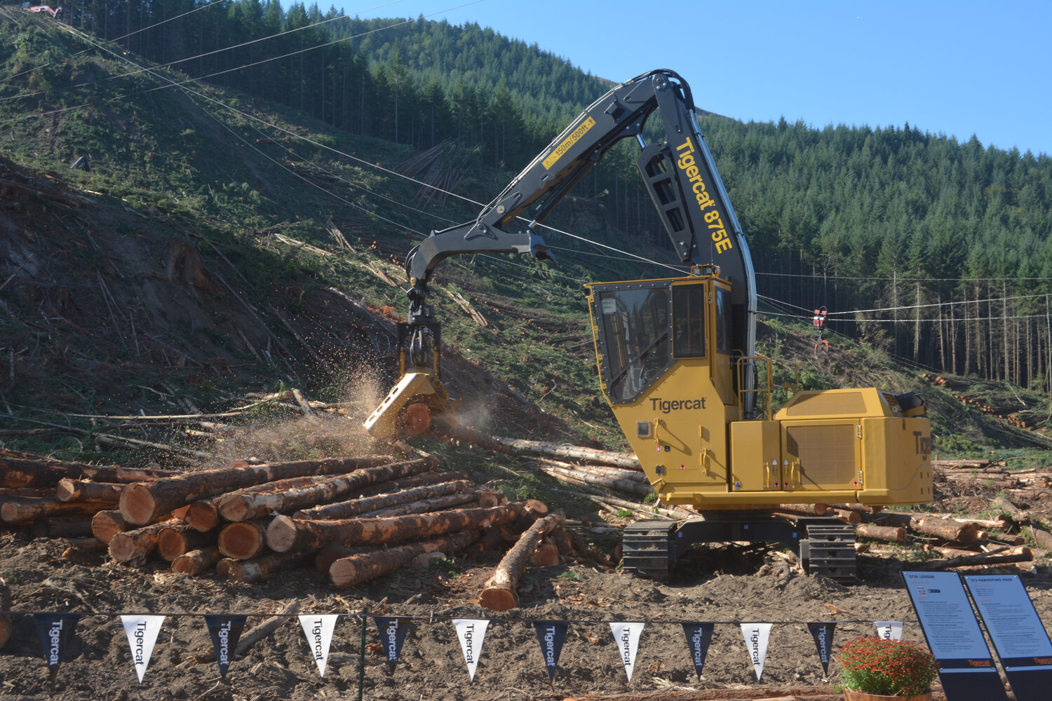 An 875E logger on display sawing through lumber in the Pacific Logging Congress Live In-Woods Show on Sept. 22.