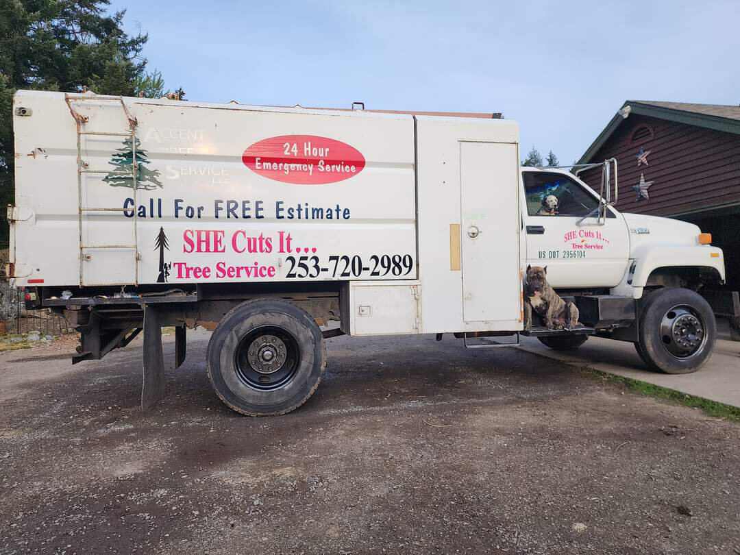 She Cuts It Tree Service provides what Beth Stock calls a "complete" tree service to Pierce and Thurston counties.
